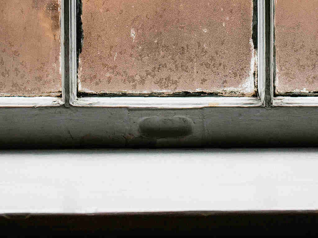 Housing disrepair claim for rotten windows